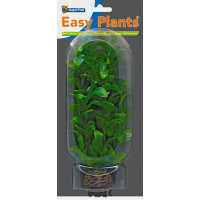 Easy Plants Middle NR2